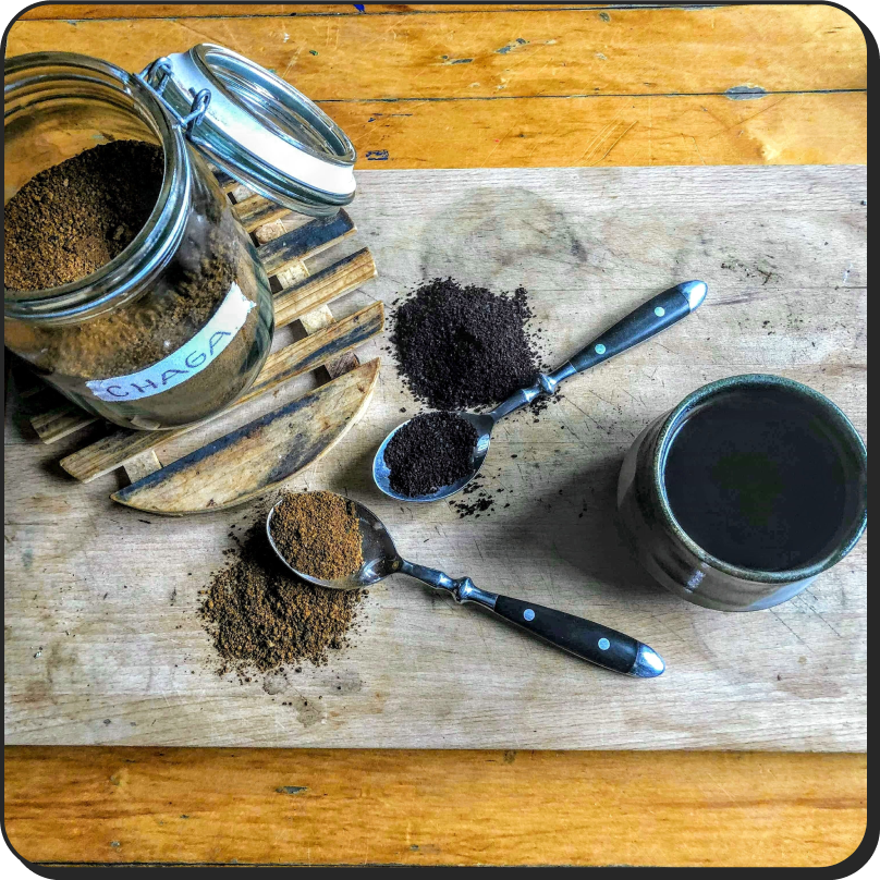 Unveiling the Health Benefits of Mushroom Coffee: Why It's Good For You