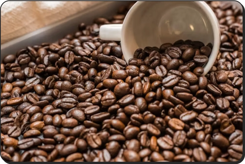 Arabica Coffee