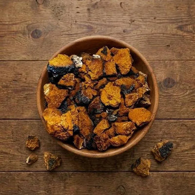 Raw Chaga chunks