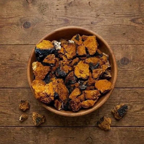 Raw Chaga chunks