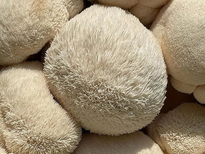 Raw Lion's Mane mushroom